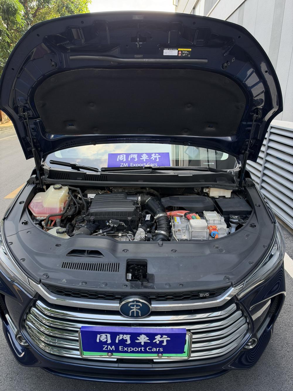 BYD Song MAX DM
