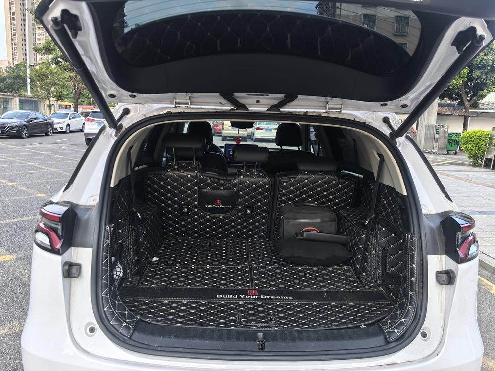 BYD Tang DM