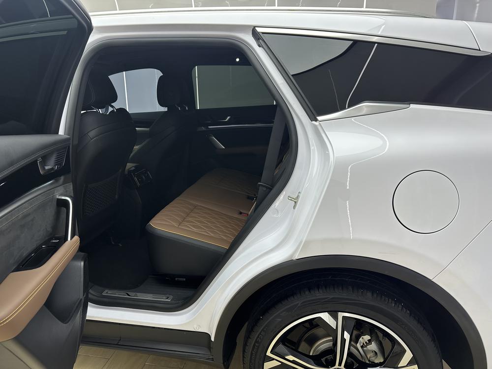 BYD Tang DM