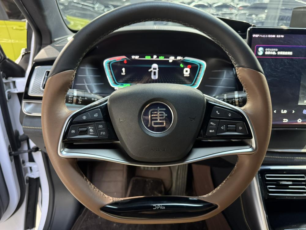 BYD Tang DM