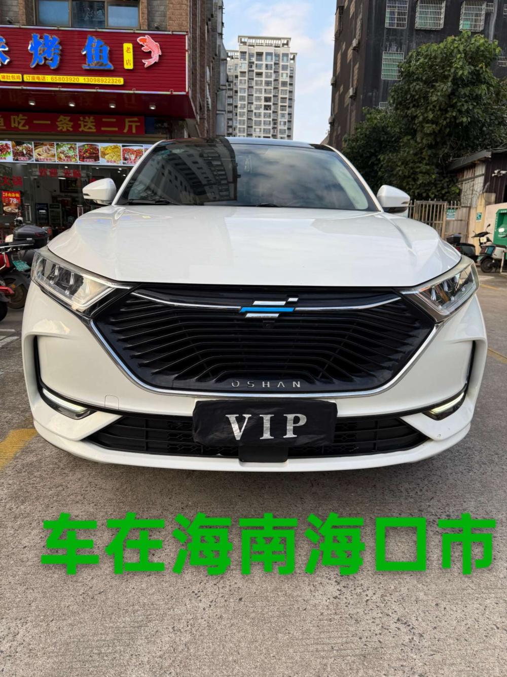 Changan Oshan Changan Oshan X7