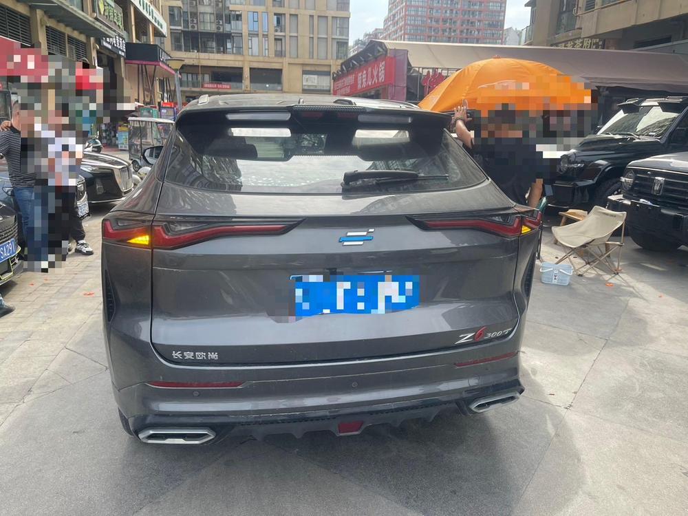 Changan Oshan Changan Oshan Z6