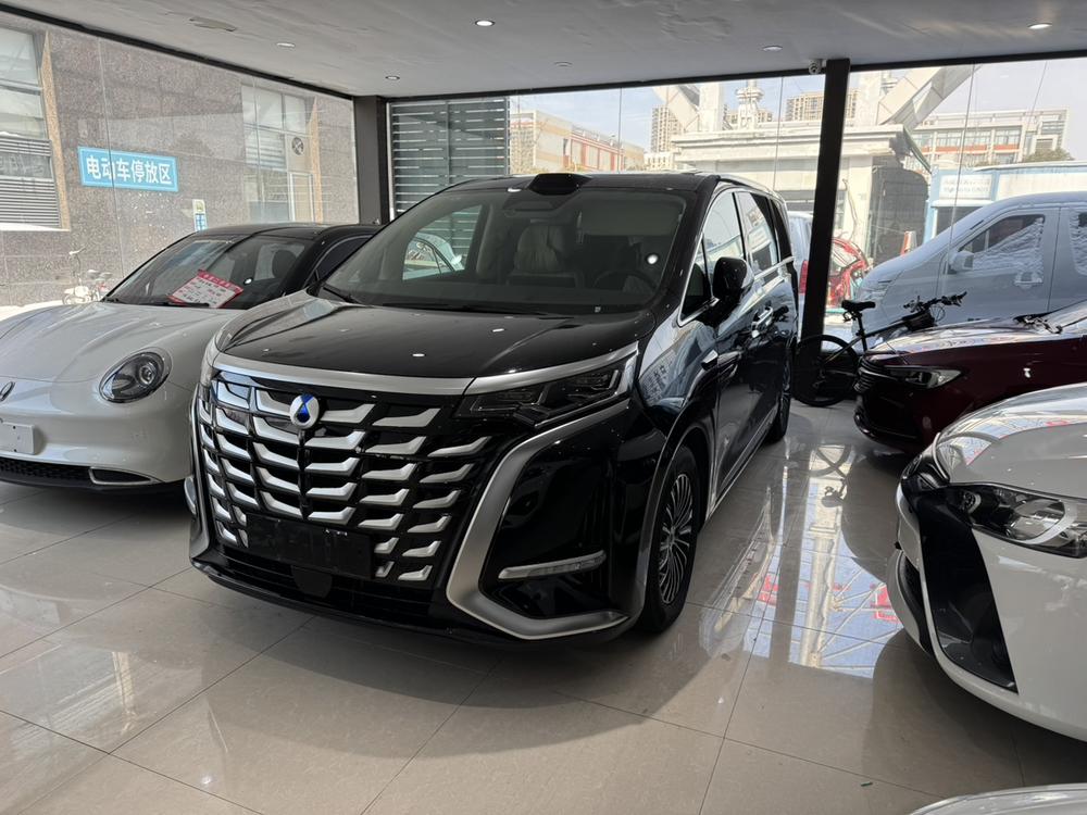 Denza Denza D9 DM