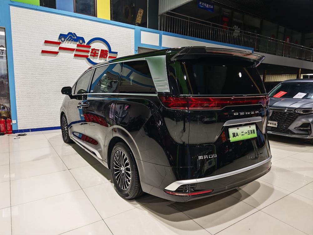 Denza Denza D9 DM
