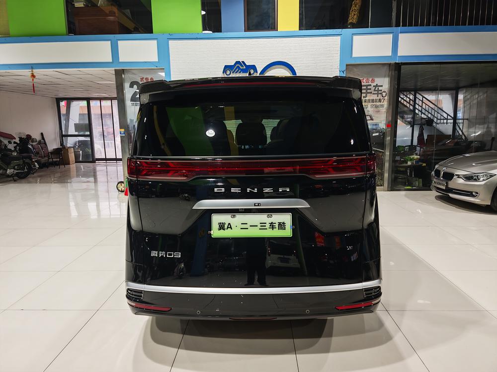 Denza Denza D9 DM