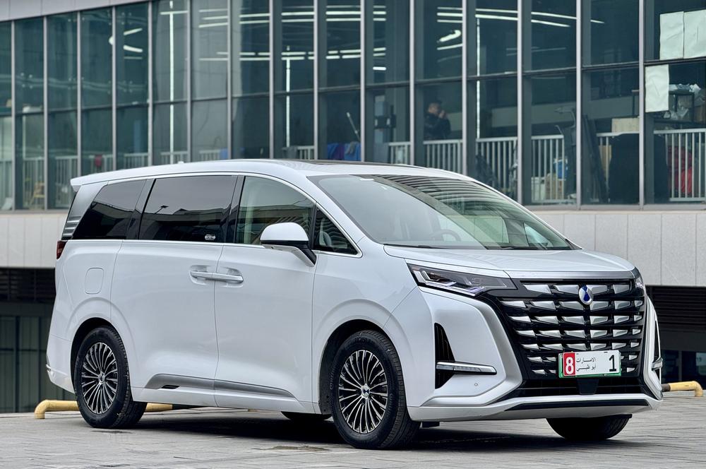 Denza Denza D9 DM