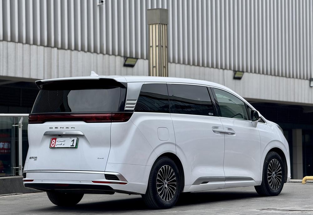 Denza Denza D9 DM