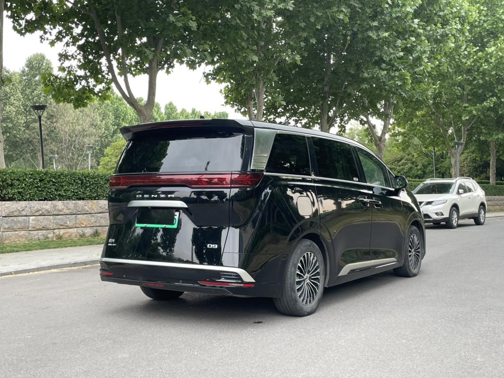 Denza Denza D9 DM
