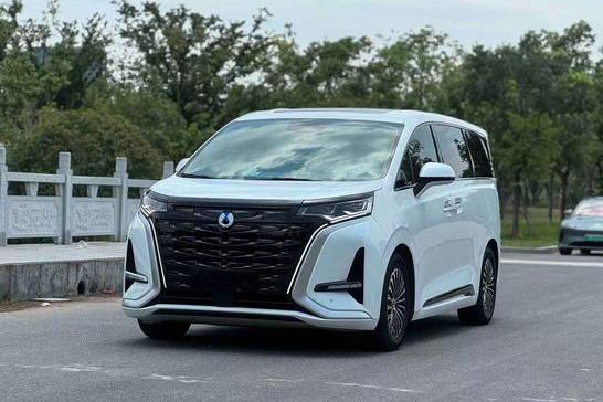 Denza Denza D9 DM