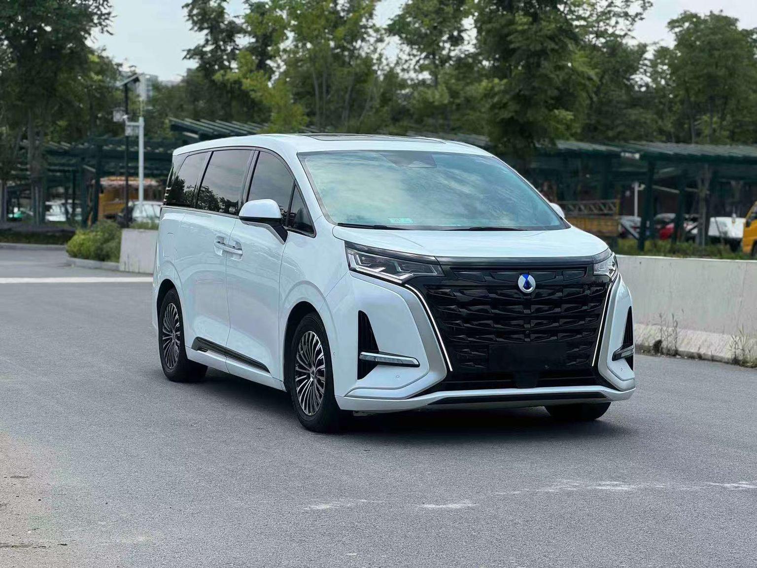 Denza Denza D9 DM