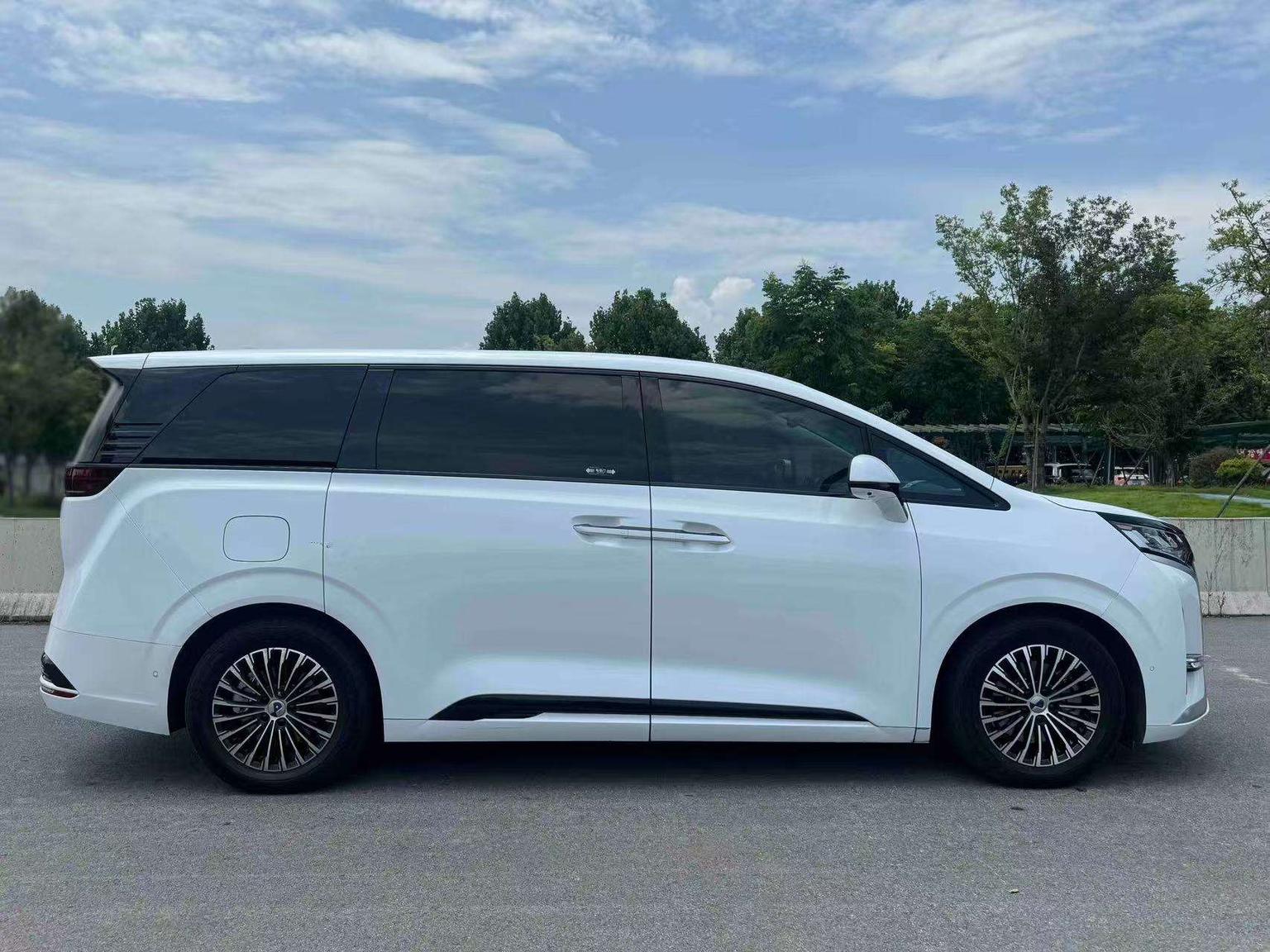 Denza Denza D9 DM