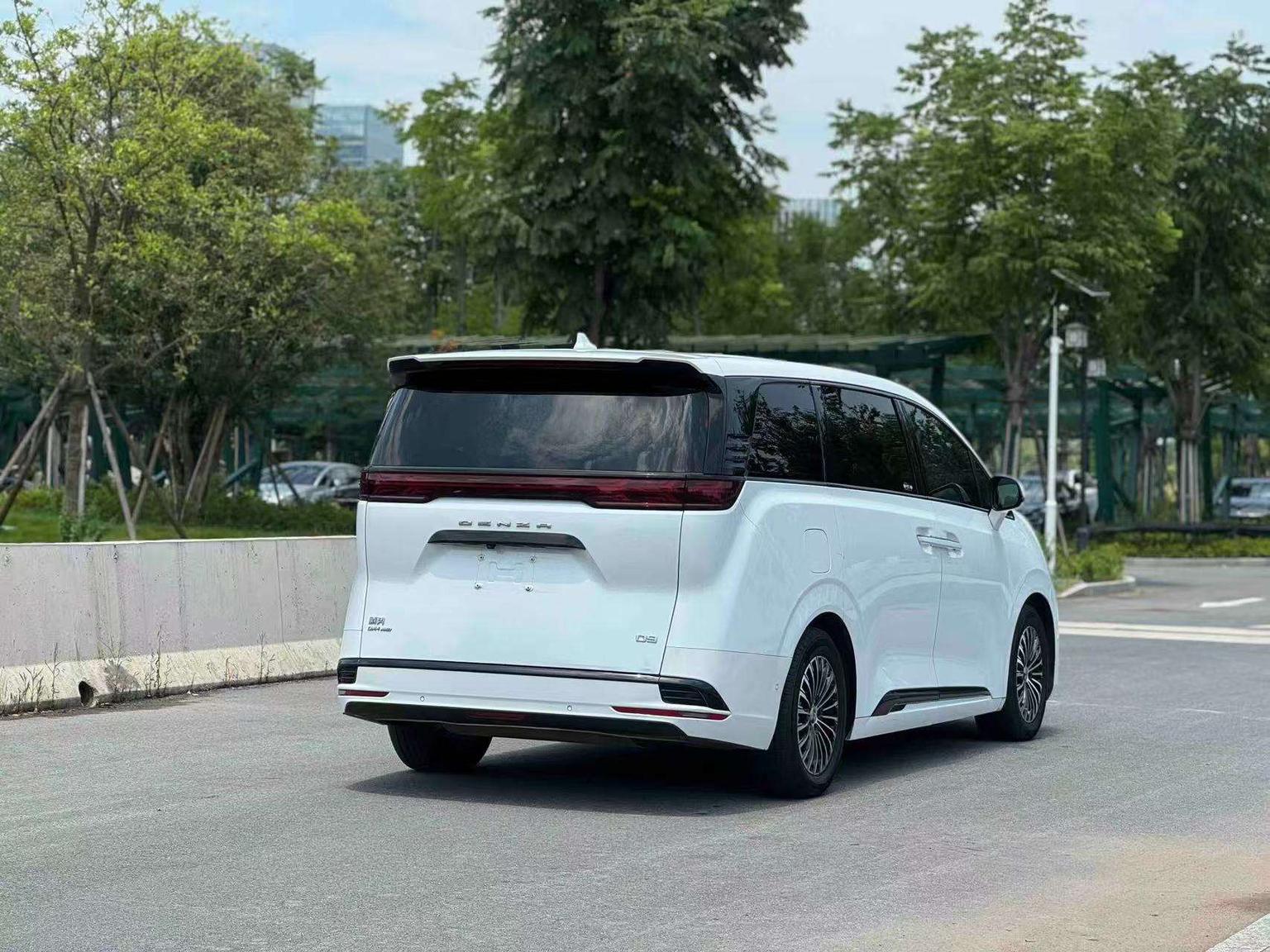 Denza Denza D9 DM