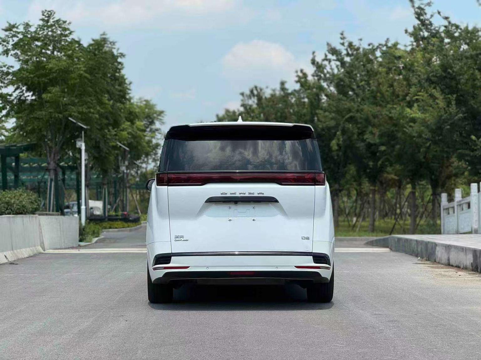 Denza Denza D9 DM