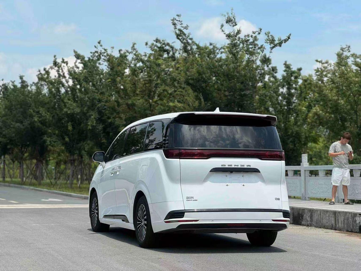 Denza Denza D9 DM