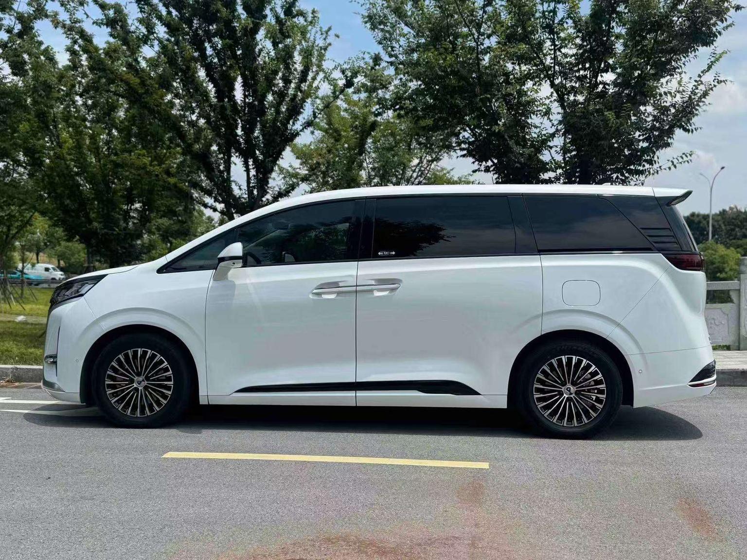 Denza Denza D9 DM