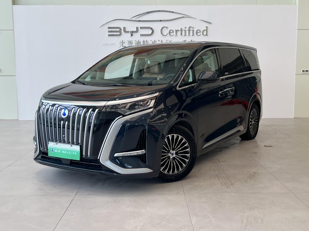 Denza Denza D9 EV