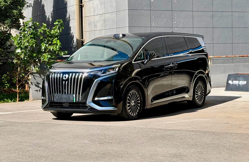 Denza Denza D9 EV