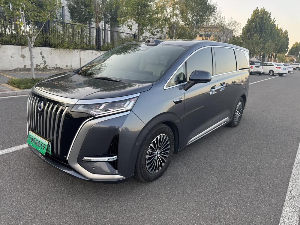 Denza Denza D9 EV