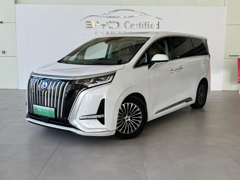 Denza Denza D9 EV