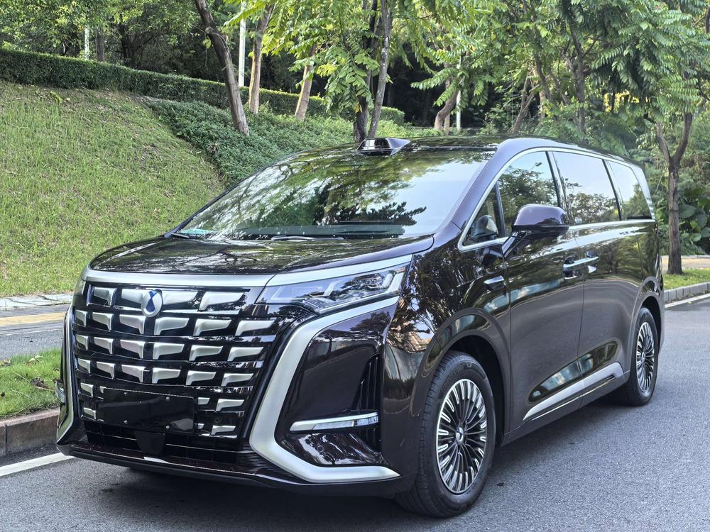 Denza Denza D9 EV