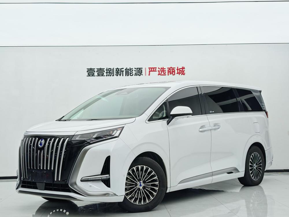 Denza Denza D9 EV