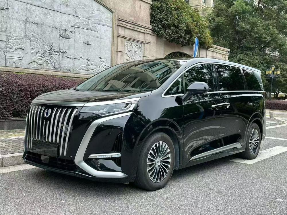 Denza Denza D9 EV