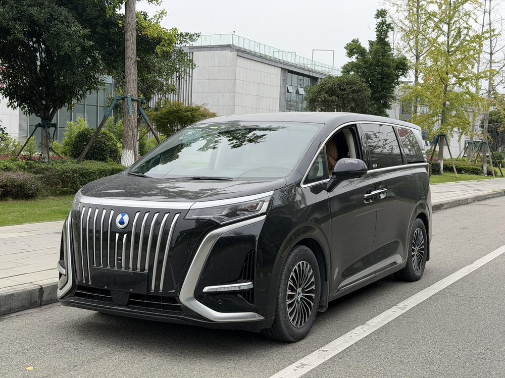 Denza Denza D9 EV