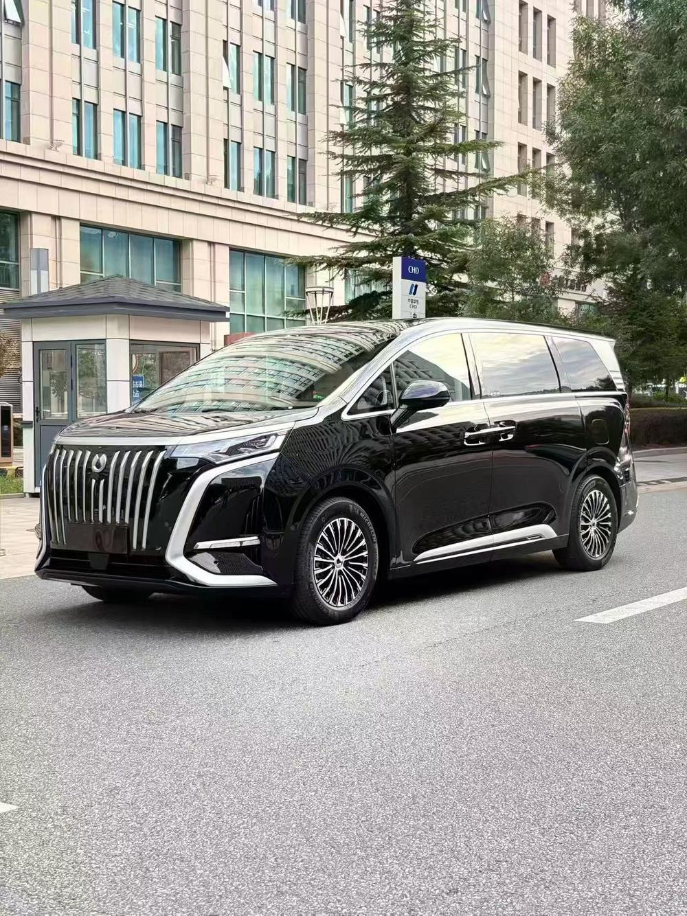 Denza Denza D9 EV