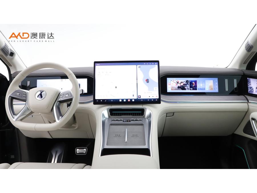 Denza Denza N9 DM