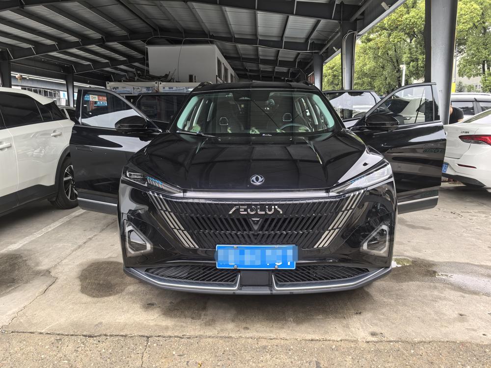 Dongfeng Fengshen Haohan