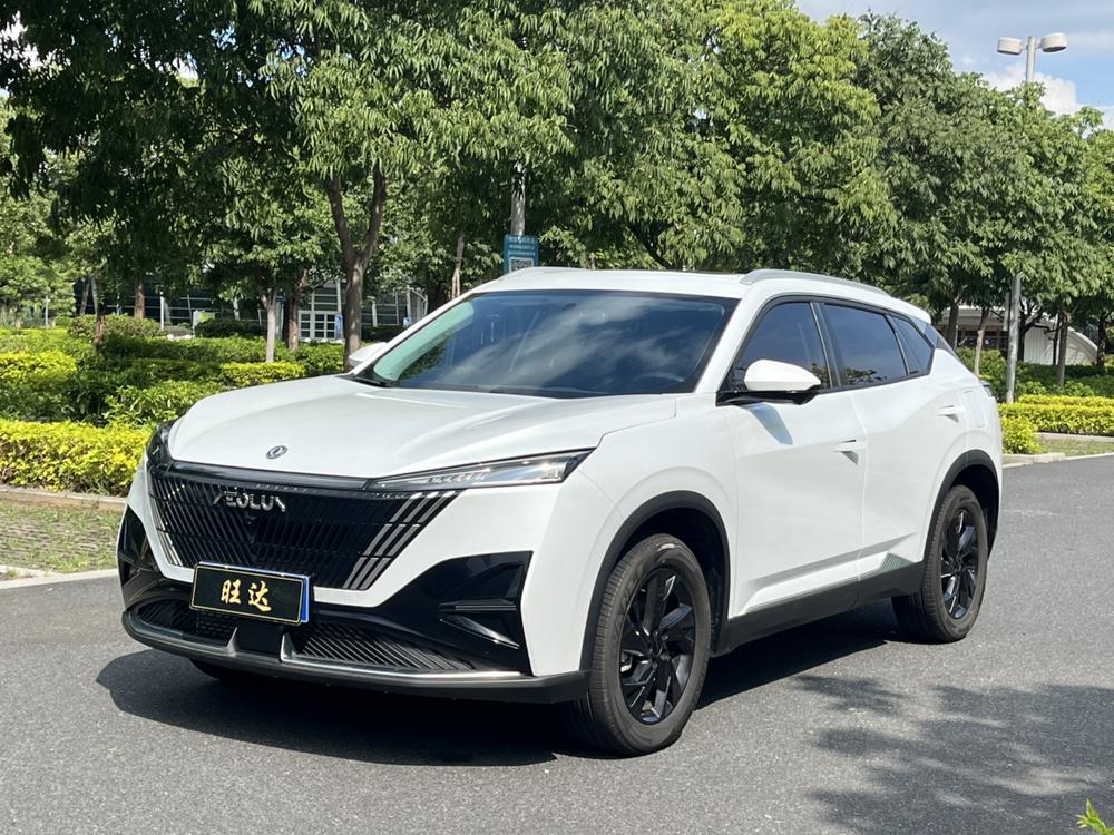 Dongfeng Fengshen Haohan