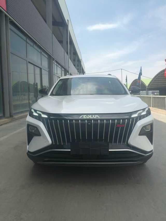 Dongfeng Fengshen Haoji