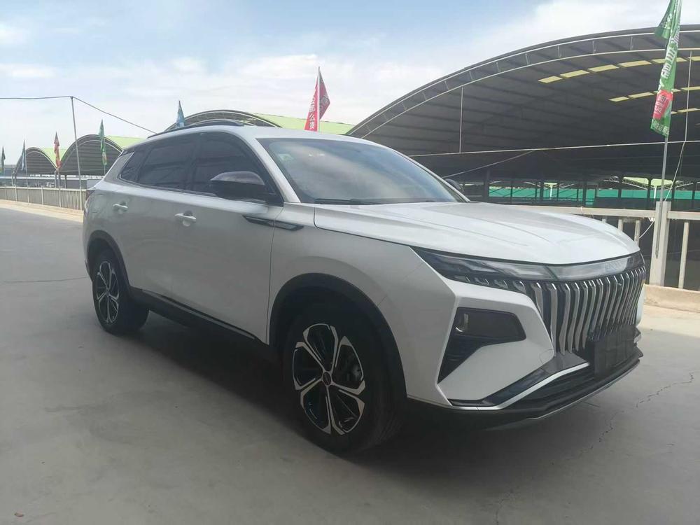 Dongfeng Fengshen Haoji