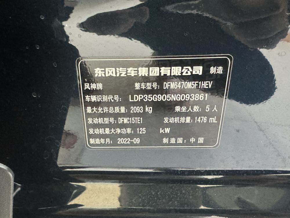 Dongfeng Fengshen Haoji