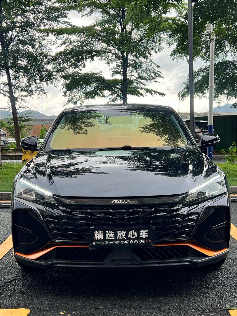 Dongfeng Fengshen Yixuan