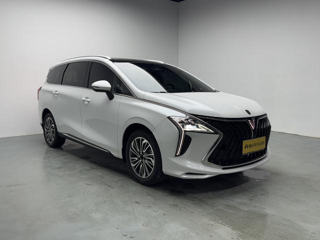 Dongfeng Fengxing Forthing Yacht
