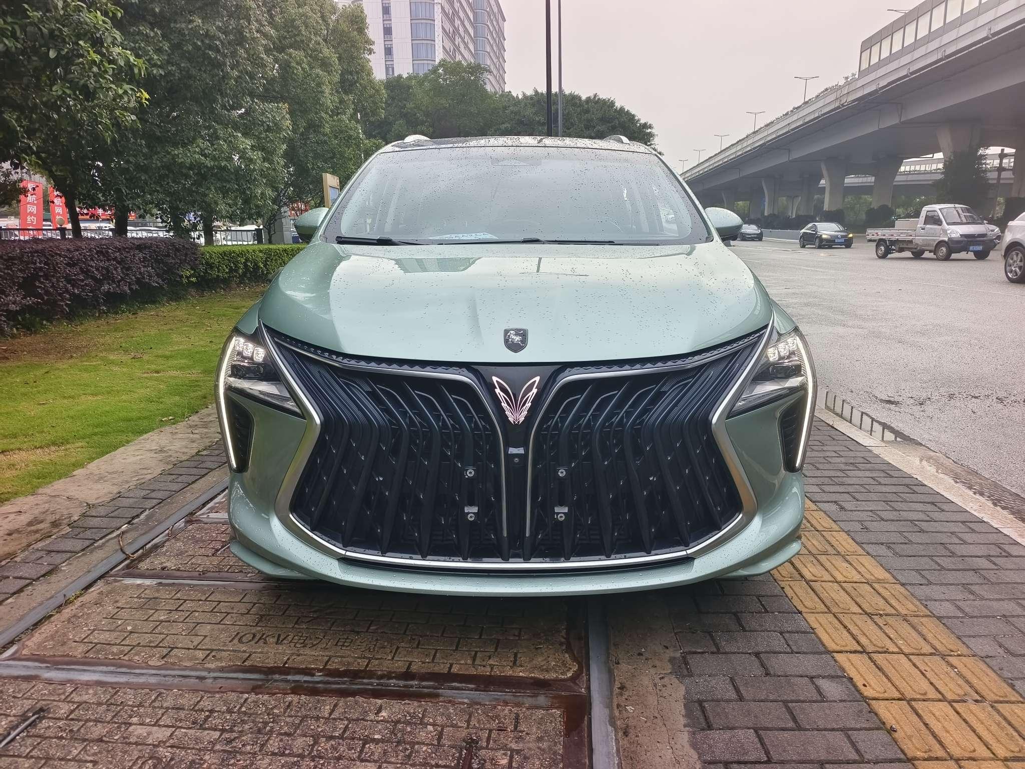 Dongfeng Fengxing Forthing Yacht