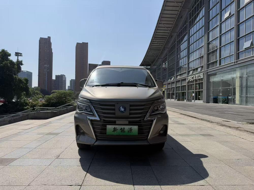 Dongfeng Fengxing Lingzhi EV