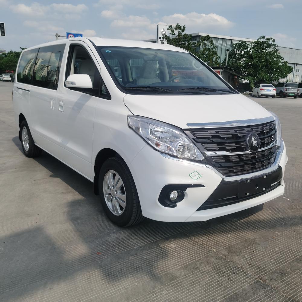 Dongfeng Fengxing Lingzhi PLUS