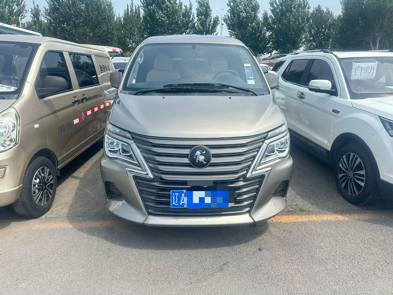 Dongfeng Fengxing Lingzhi
