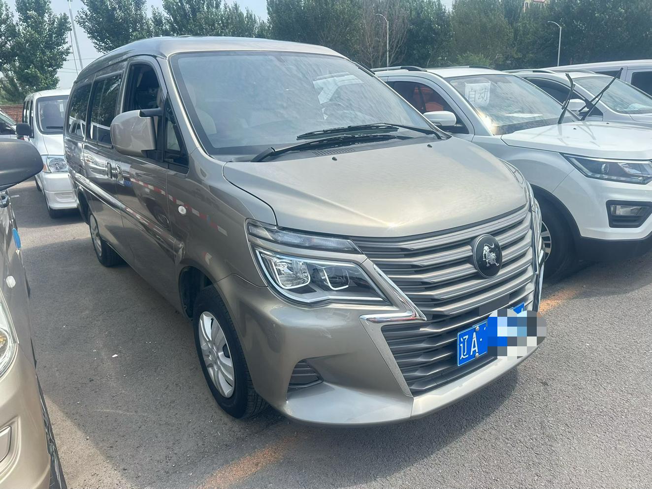 Dongfeng Fengxing Lingzhi