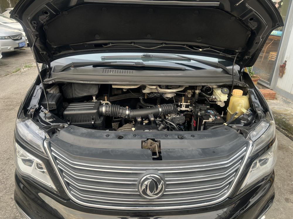 Dongfeng Fengxing Lingzhi