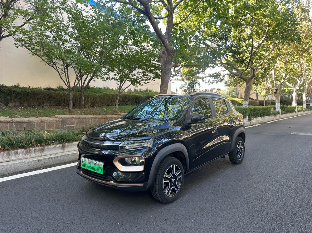 Dongfeng Nami Dongfeng Nano EX1