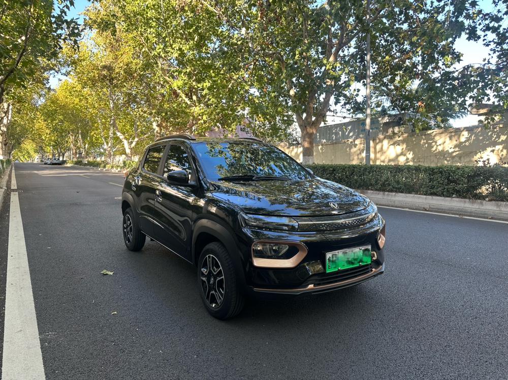 Dongfeng Nami Dongfeng Nano EX1