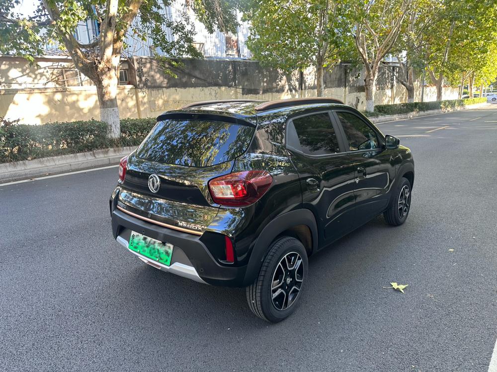 Dongfeng Nami Dongfeng Nano EX1