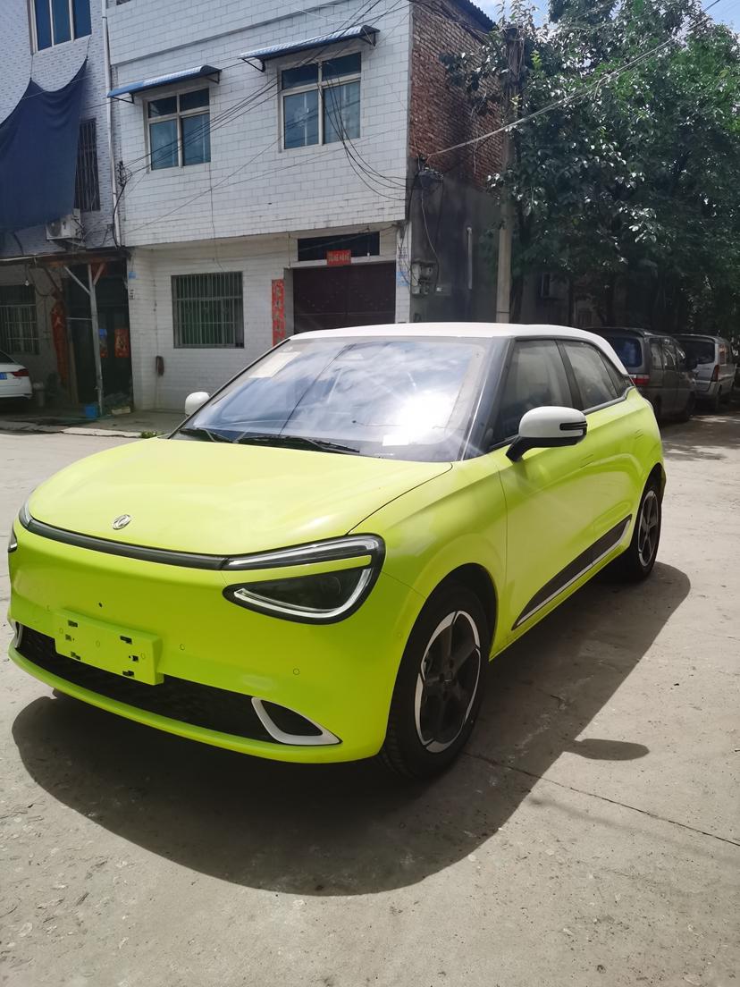 Dongfeng Yipai Nami 01