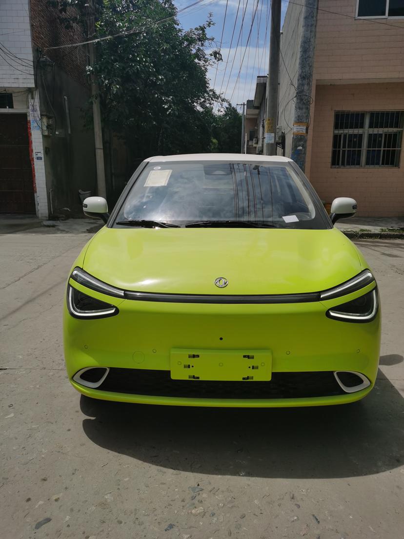 Dongfeng Yipai Nami 01
