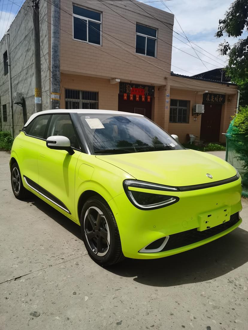 Dongfeng Yipai Nami 01