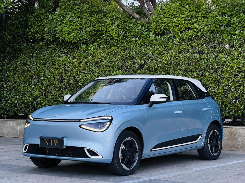 Dongfeng Yipai Nami 01