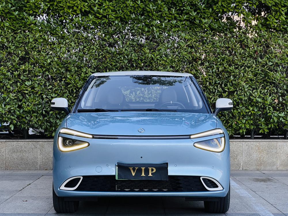Dongfeng Yipai Nami 01